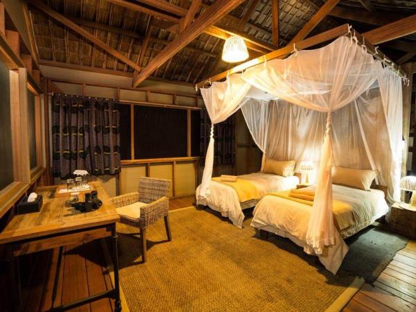 Congo safari with gorilla trekking