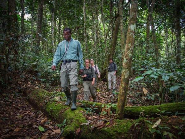 Congo safari with gorilla trekking