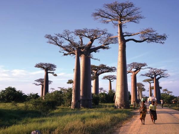 Madagascar adventure holiday, 21 days