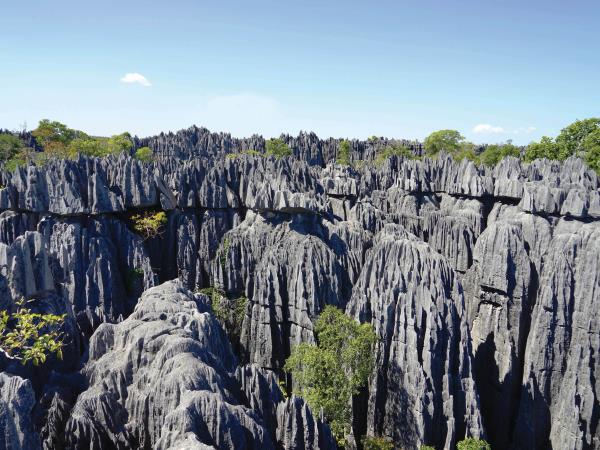 Madagascar adventure holiday, 21 days