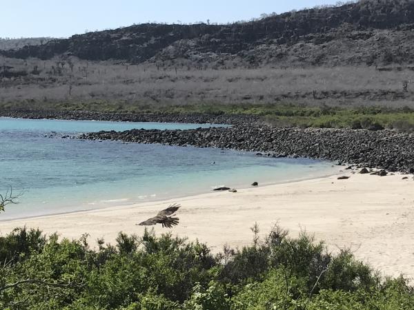 Galapagos cruise and island hopping holiday