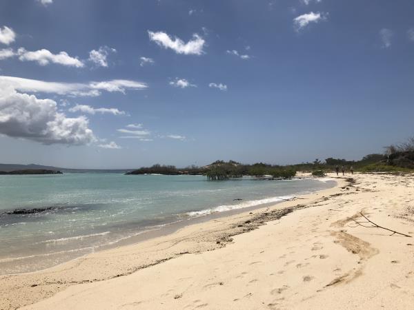Galapagos cruise and island hopping holiday