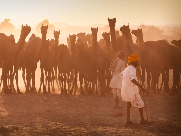 Rajasthan photography holiday in India