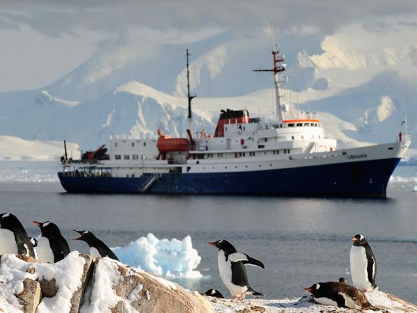 Classic Antarctica cruise & South Shetland Islands