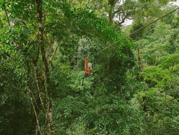 Tailor made Costa Rica wildlife holiday