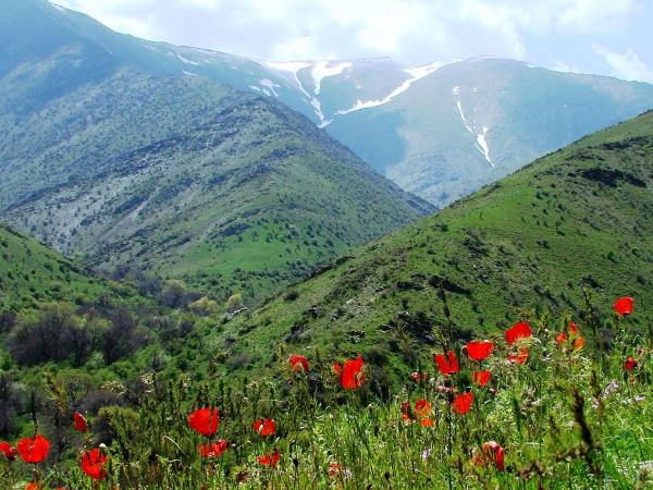 Uzbekistan small group holiday