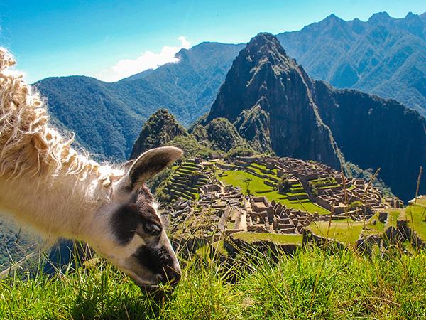 Peru food tour
