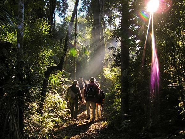 Paraguay Missiones and Iguazu tour