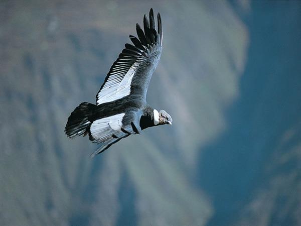 Sacred Valley and the Lares trek holiday in Peru
