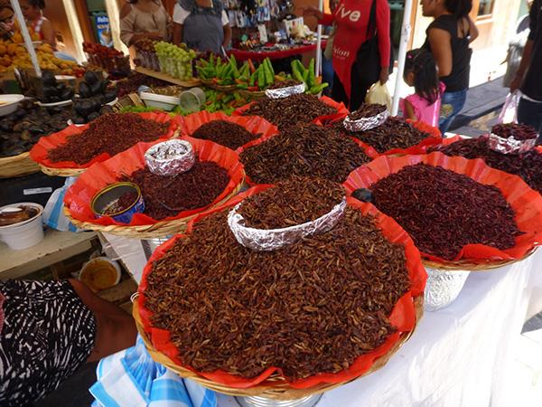 Day of the Dead festival holiday, Mexico