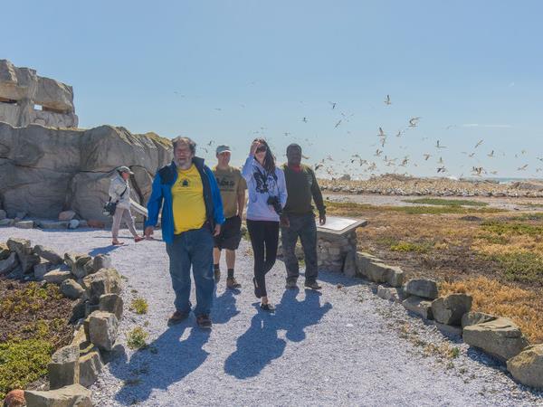 Cape Town to Windhoek holiday