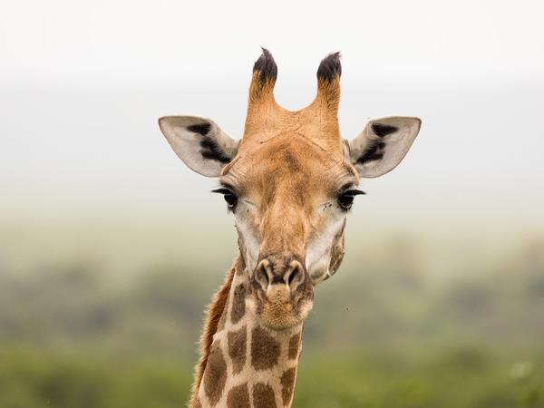Kruger & coast holiday in South Africa