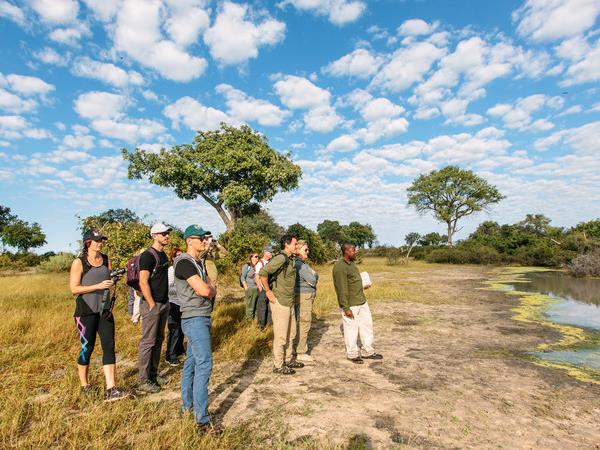 Southern Africa small group tour
