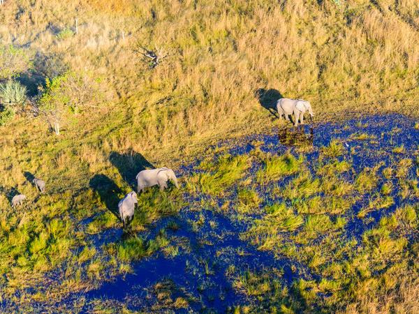 Southern Africa small group tour