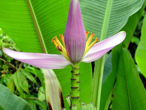 Honduras tailor made holiday