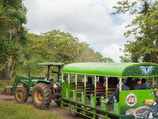 Honduras tailor made holiday