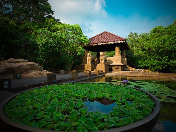 North Sri Lanka holiday
