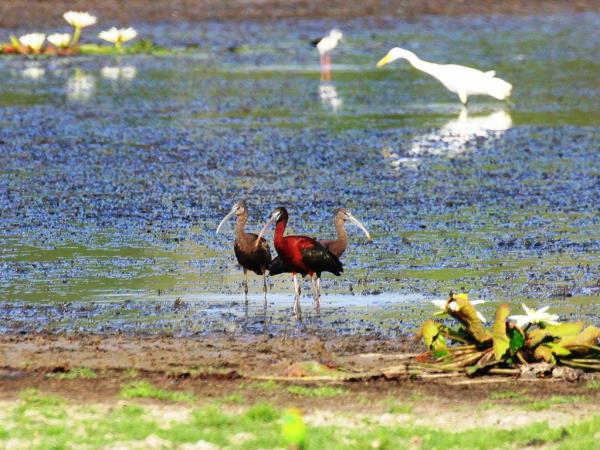 North Sri Lanka holiday