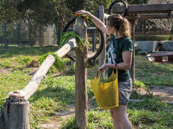 Laos Wildlife sanctuary volunteering holiday
