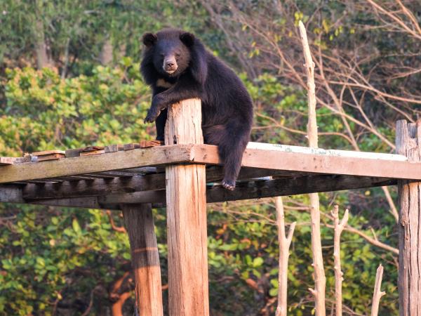 Laos Wildlife sanctuary volunteering holiday