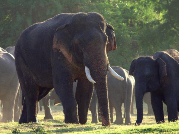 North Sri Lanka holiday