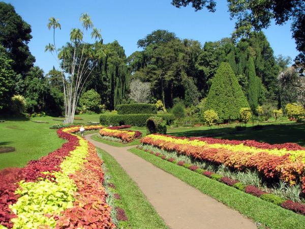 North Sri Lanka holiday