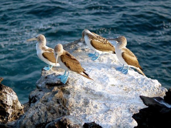 Galapagos adventure holiday
