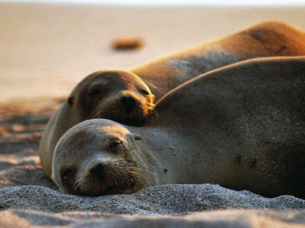 Galapagos adventure holiday