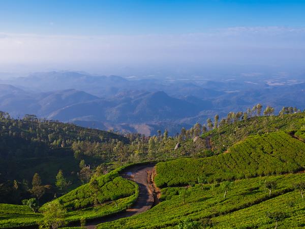 Luxury Sri Lanka 12 day tour