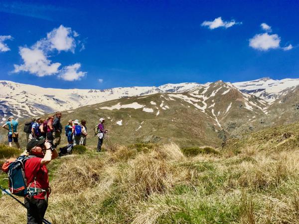 Alpujarra wildlife walking holiday