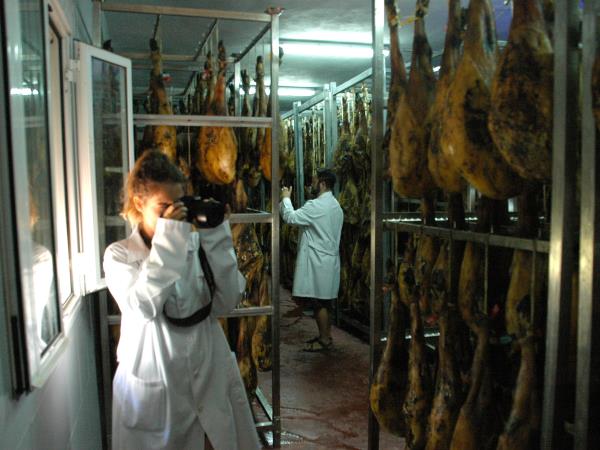 Iberian Ham tour in Andalucia, Spain