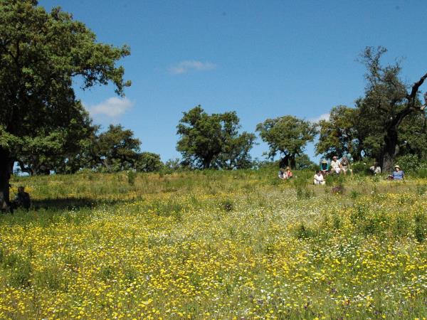 Southern Spain self guided walking tour