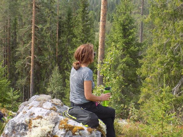 Norway wildlife holiday, walking safari