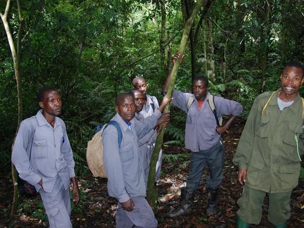 5 day gorilla safari in Uganda