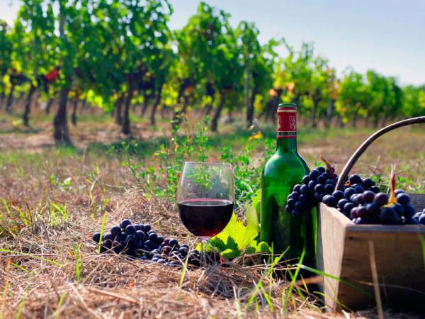 Armenia holiday, private departure