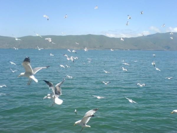 Armenia holiday, private departure