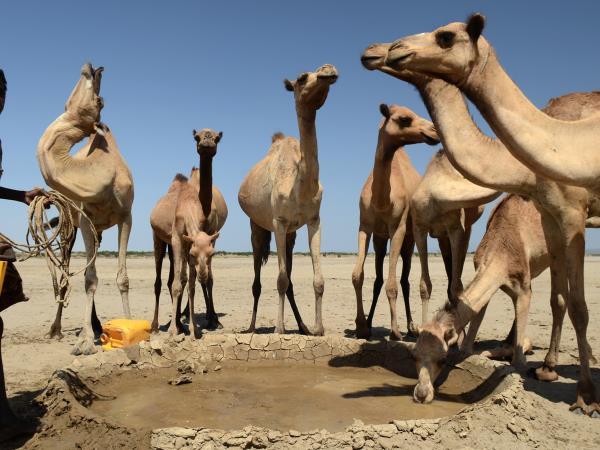Ethiopia small group holiday