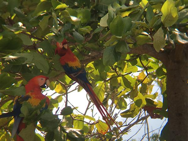 Off the beaten track Costa Rica private tour