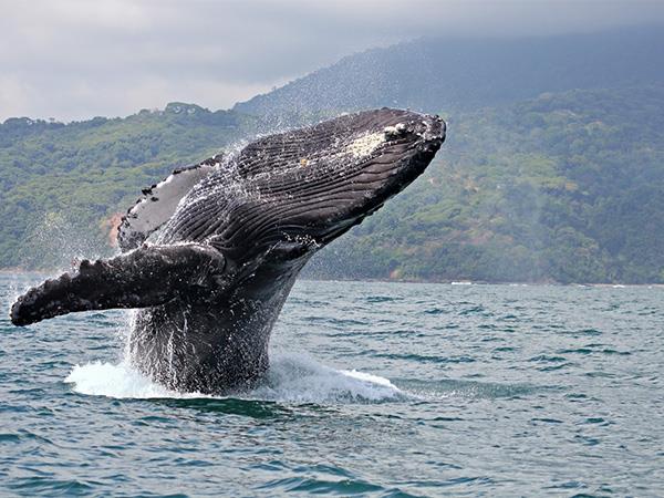 Off the beaten track Costa Rica private tour