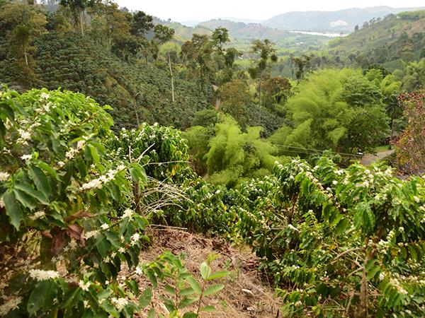 Colombia self drive holiday