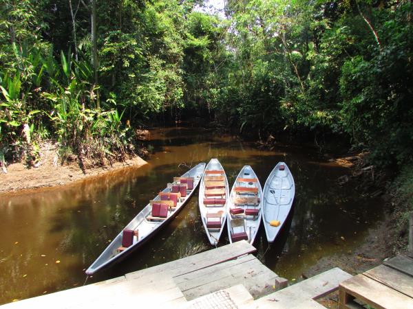 Ecuador rainforest tour