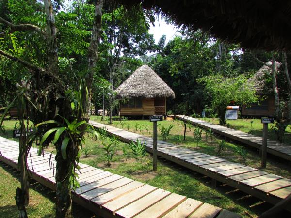 Ecuador rainforest tour