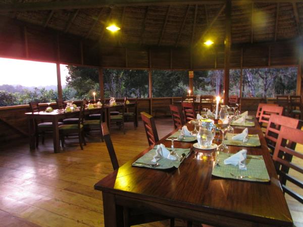 Ecuador rainforest tour
