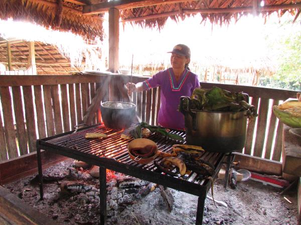 Ecuador rainforest tour