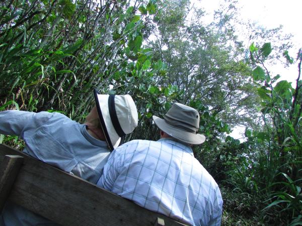 Ecuador rainforest tour