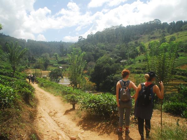 Sri Lanka active holiday, rainforest and beach