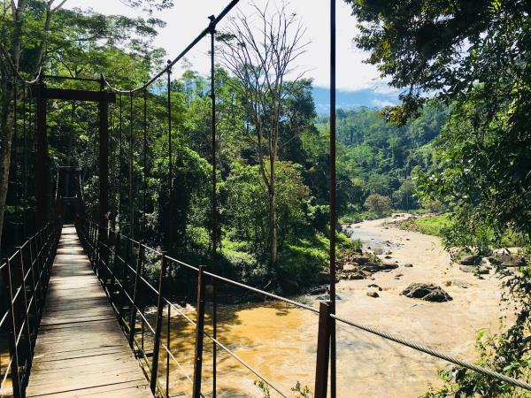 Sri Lanka active holiday, rainforest and beach