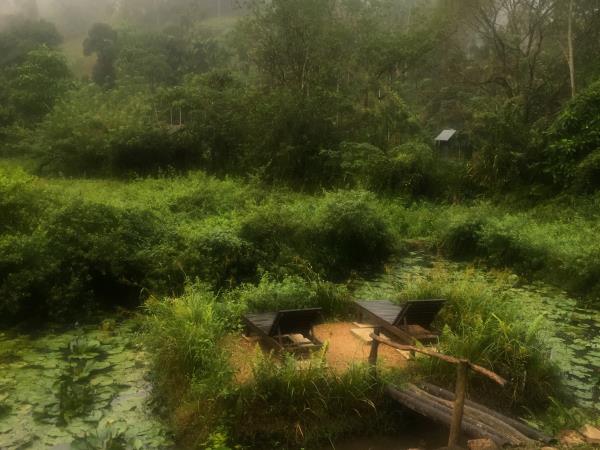 Sri Lanka active holiday, rainforest and beach