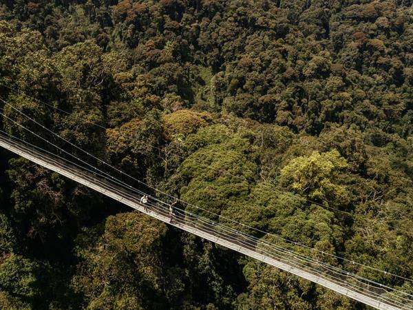 Rwanda holiday, gorillas and wildlife adventure