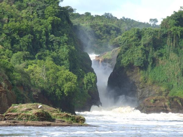 Rwanda holiday, gorillas and wildlife adventure
